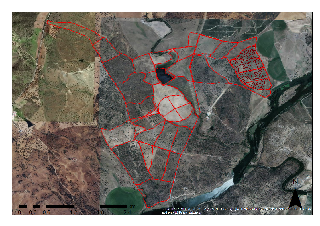 Plano finca Defesinhas