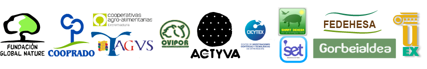 logos Grupos del Acción
