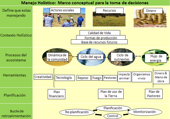 Marco de toma de decisiones